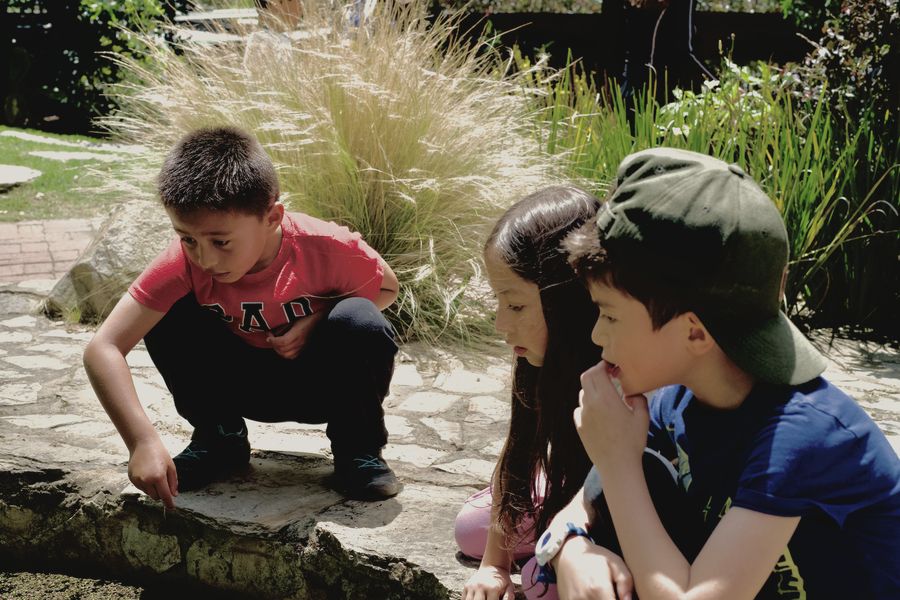 Tres niños observan de cerca la vida del estanque