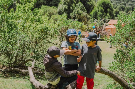 Niños jugando entre los árboles del campus